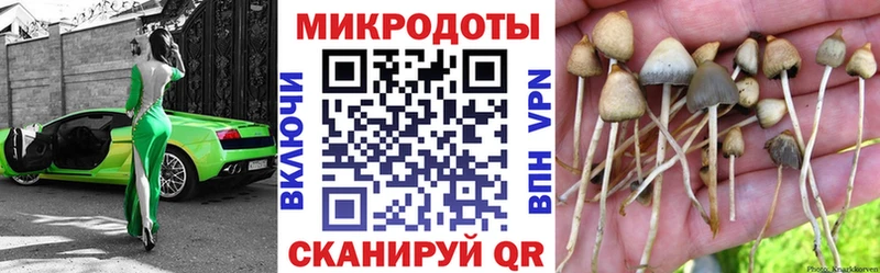 Псилоцибиновые грибы прущие грибы  Хадыженск 